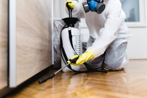 Best Commercial Pest Control Services  in Maryville, MO