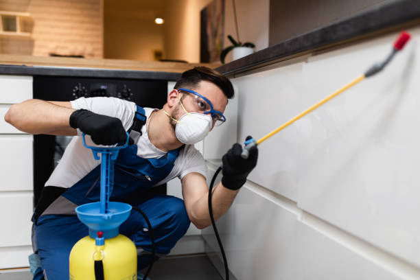 Trusted Maryville, MO Pest Control Experts