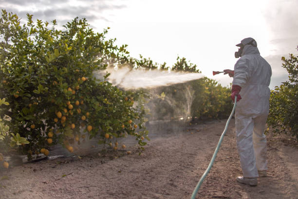 Best Pest Inspection Near Me  in Maryville, MO