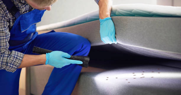 Best Cockroach Control Services  in Maryville, MO