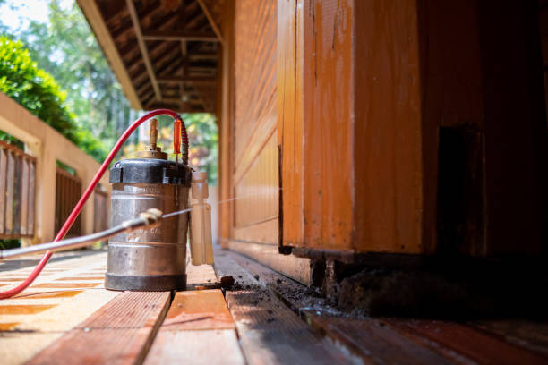 Best Best Pest Control Companies  in Maryville, MO