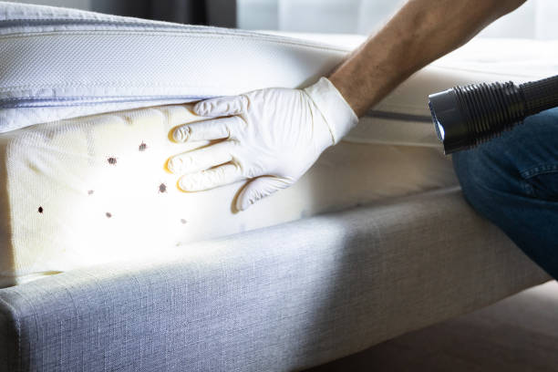 Best Best Pest Control Companies  in Maryville, MO