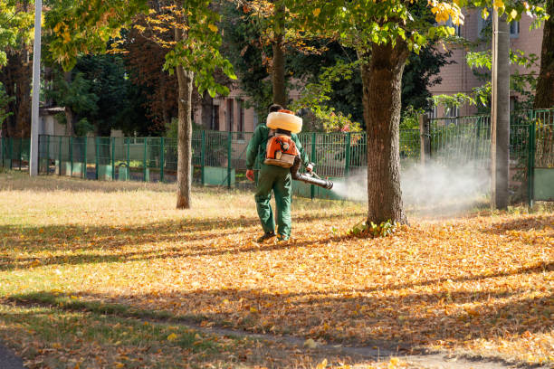 Best Bird Control  in Maryville, MO