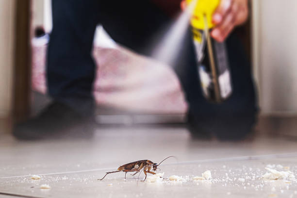 Pest Prevention Services in Maryville, MO